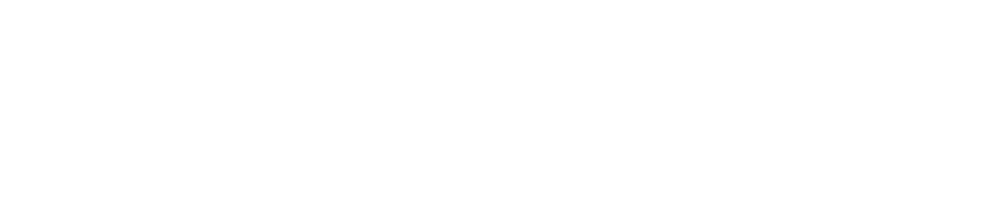 ALTERNA